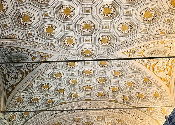 Biblioteca Vaticana, nos Museus Vaticanos